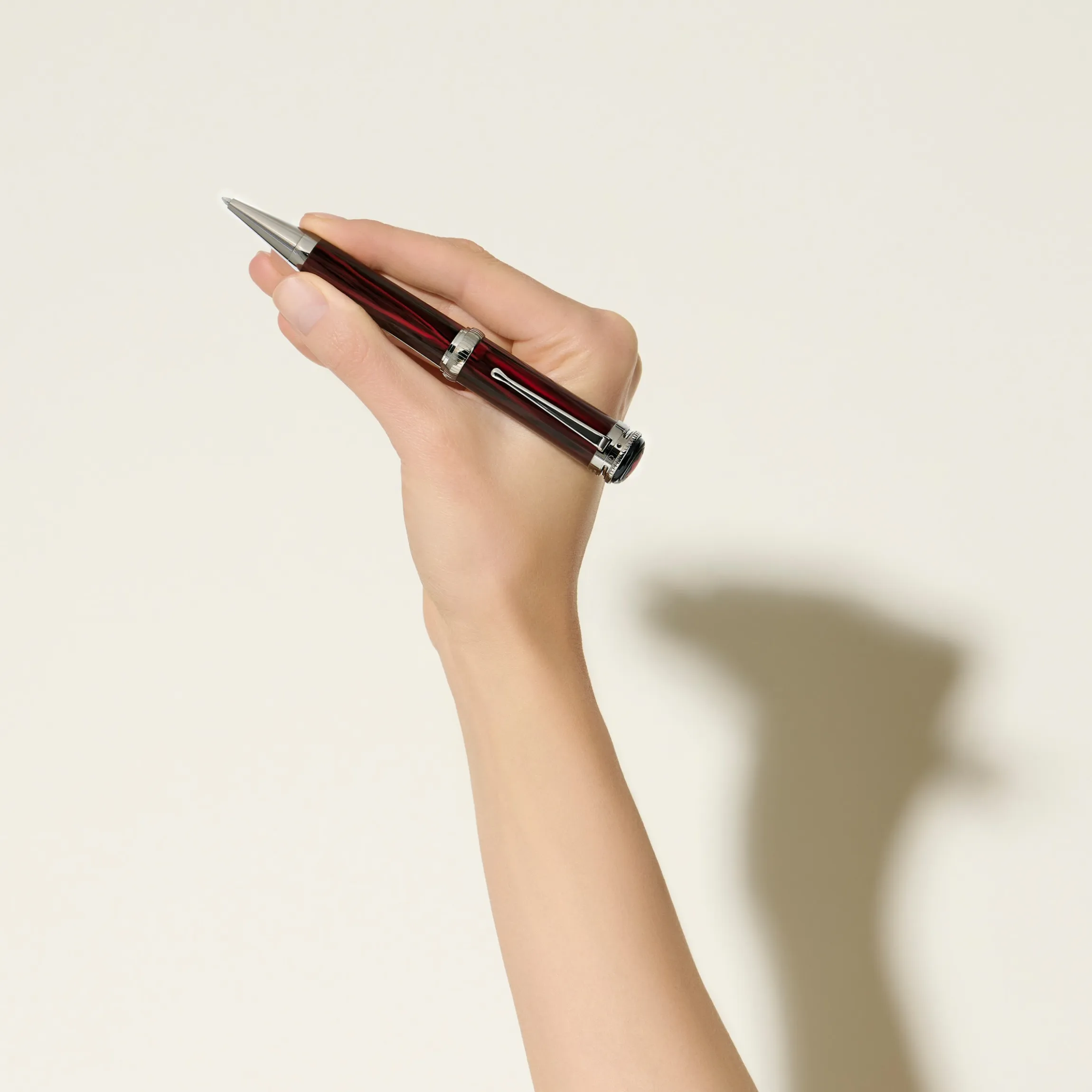 Penna a Sfera Writers Edition Homage to Bram Stoker Edizione Limitata